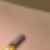 Foto del perfil de ajim