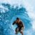 Foto del perfil de SurfingUSA